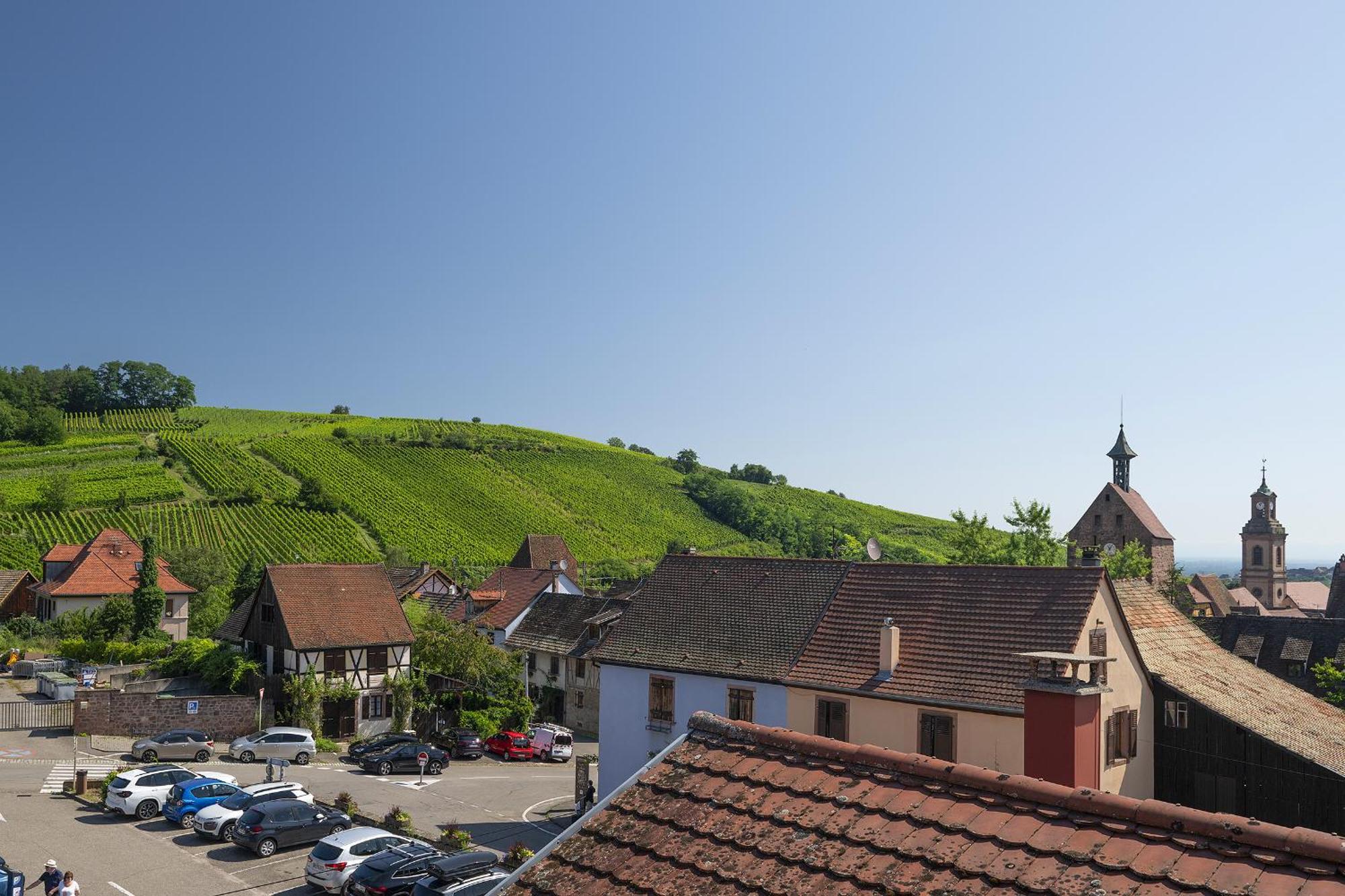 Appartement RIESLING - Vue imprenable sur le vignoble à Riquewihr Extérieur photo